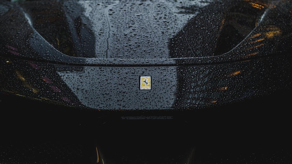 Premium Car Detailing